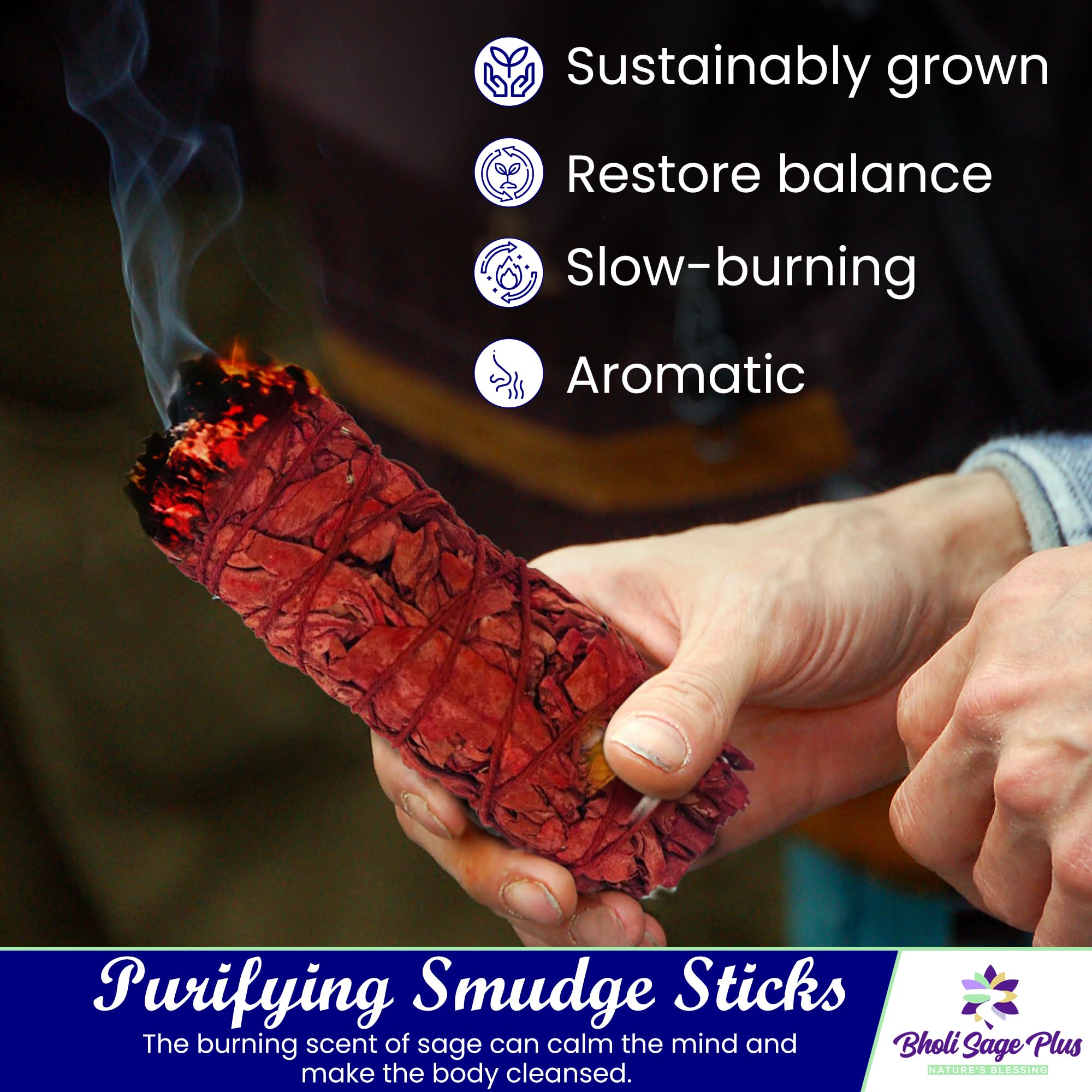 Bholi Sage Plus Sage Smudge Kit for Cleansing Negative Energy and Cleansing Home Sinuata, Dragon Blood, Cinnamon and Triple Flower Dried - 4'' Long Pack of 4 White California Sage Sticks