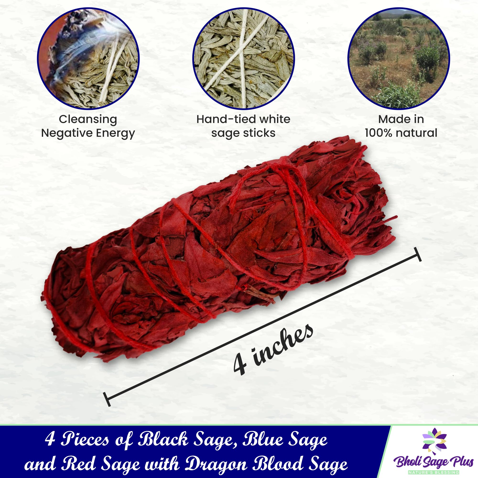 Bholi Sage Plus Sage Smudge Kit for Cleansing Negative Energy and Cleansing Home Sinuata, Dragon Blood, Cinnamon and Triple Flower Dried - 4'' Long Pack of 4 White California Sage Sticks