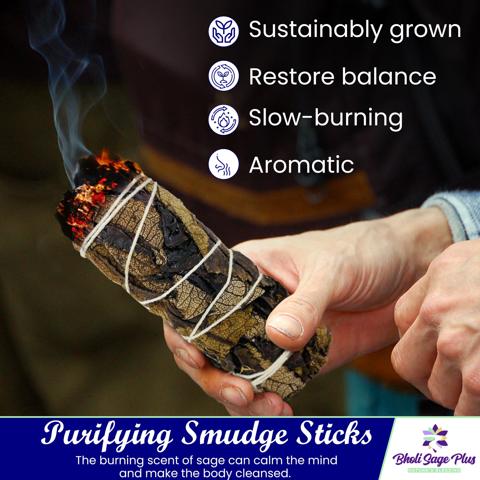 Bholi Sage Plus Sage Smudge Kit for Cleansing Negative Energy and Cleansing Home Sinuata, Dragon Blood, Cinnamon and Triple Flower Dried - 4'' Long Pack of 4 White California Sage Sticks
