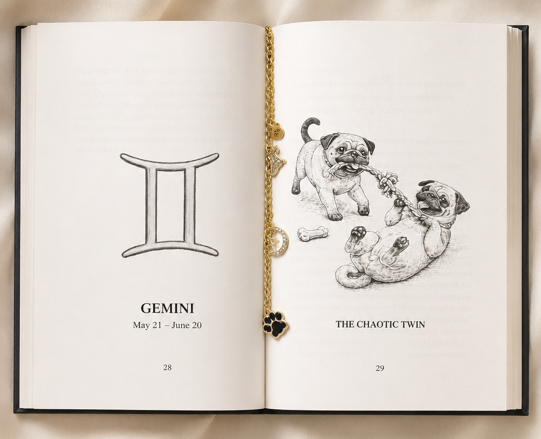 Cosmic Dogs Signed Book + Bookmark Jewelry Gift Set