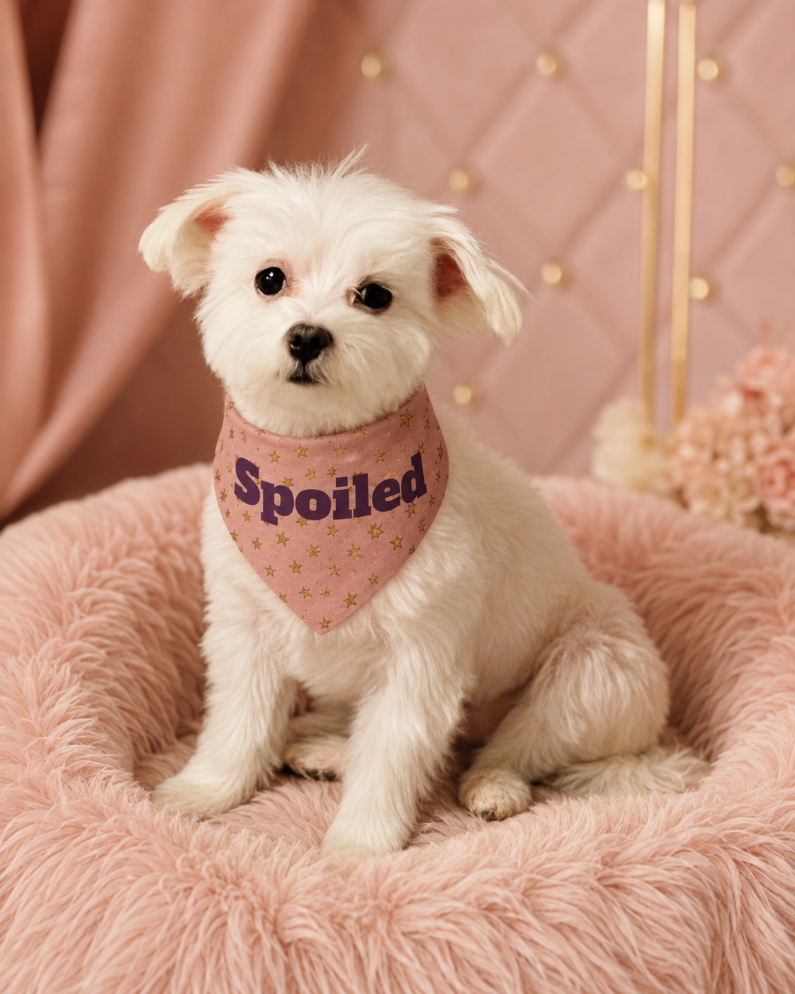 Spoiled | Clip-On Pet Bandana